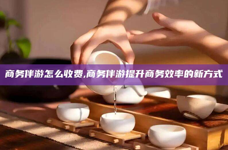 甘孜商务伴游怎么收费,商务伴游提升商务效率的新方式